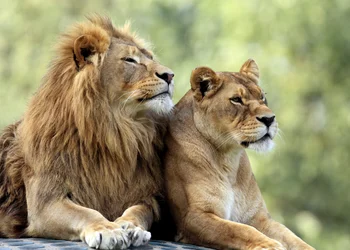 Prager Zoo