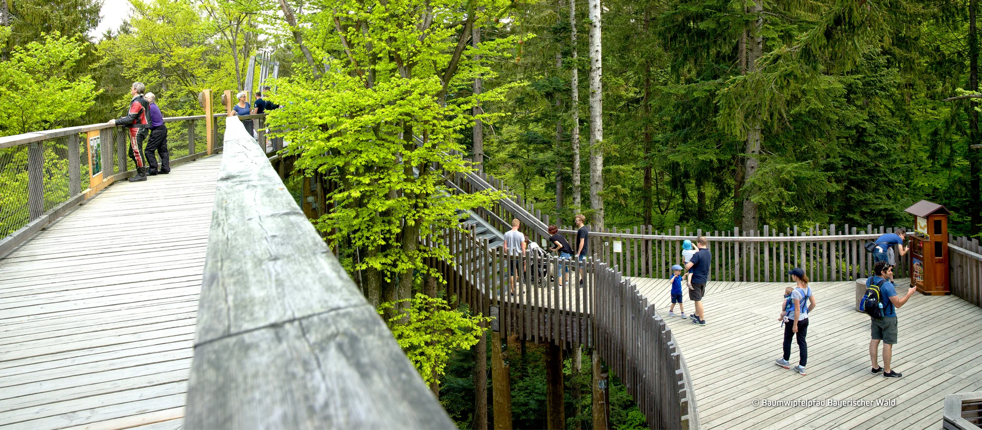 © Baumwipfelpfad Bayerischer Wald