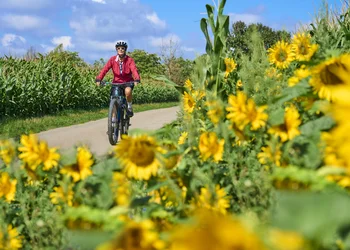 MainRadweg - Genussradln nach Kitzingen