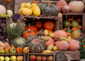 Herbstzauber im Kürbisparadies Ludwigsburg