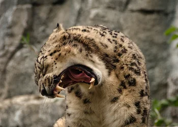 Leipziger Zoo 