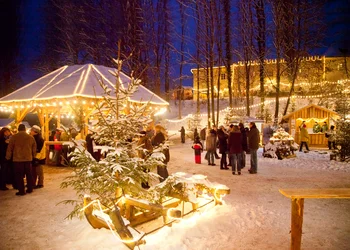 Wintertraum auf Schloss Guteneck 