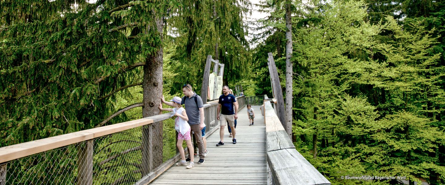 © Baumwipfelpfad Bayerischer Wald