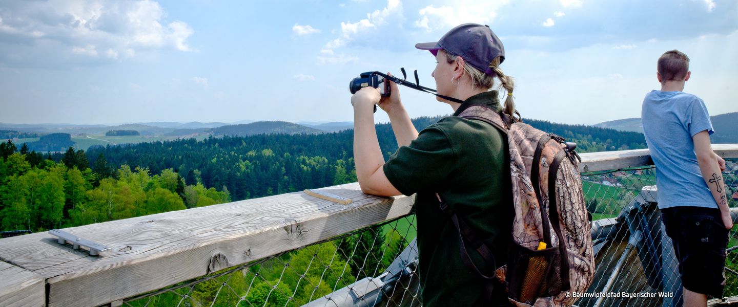 © Baumwipfelpfad Bayerischer Wald