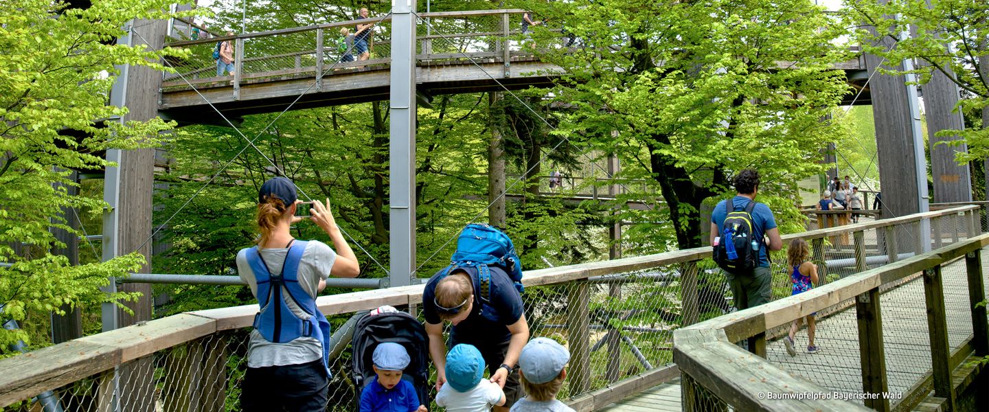© Baumwipfelpfad Bayerischer Wald